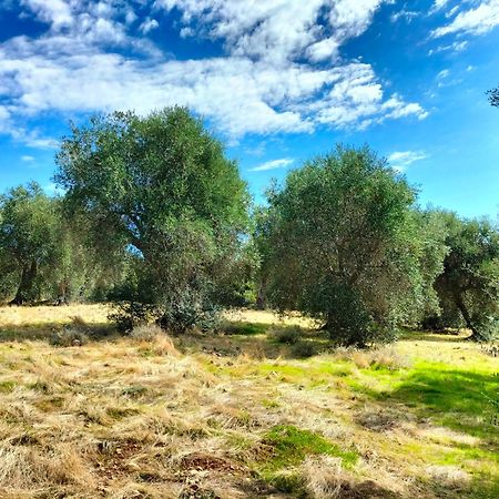 Agriturismo Lillastro Braccagni المظهر الخارجي الصورة