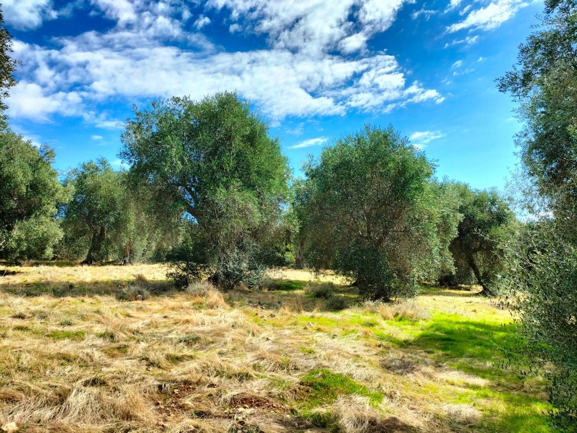 Agriturismo Lillastro Braccagni المظهر الخارجي الصورة