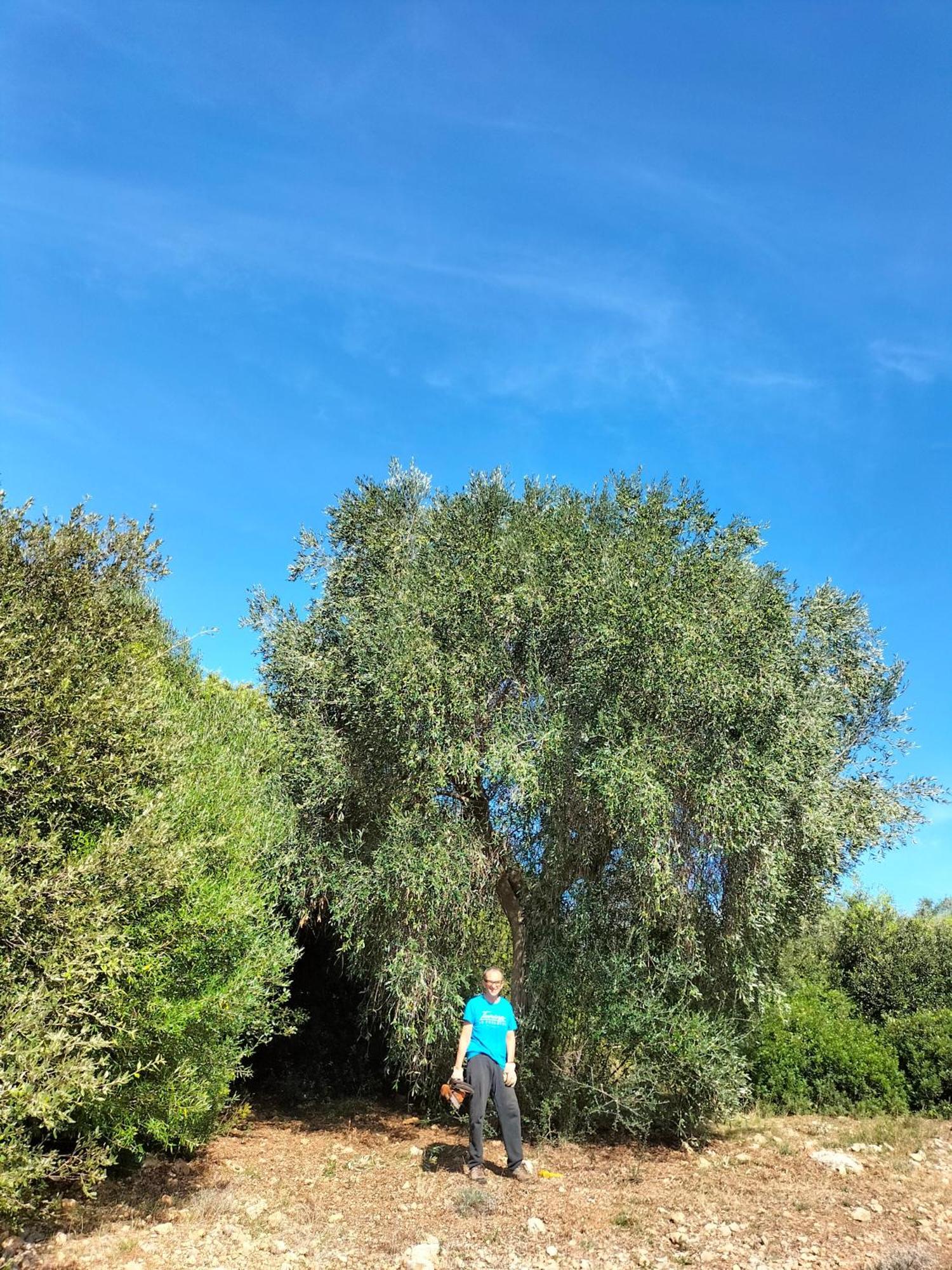 Agriturismo Lillastro Braccagni المظهر الخارجي الصورة