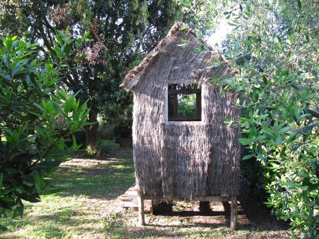 Agriturismo Lillastro Braccagni المظهر الخارجي الصورة
