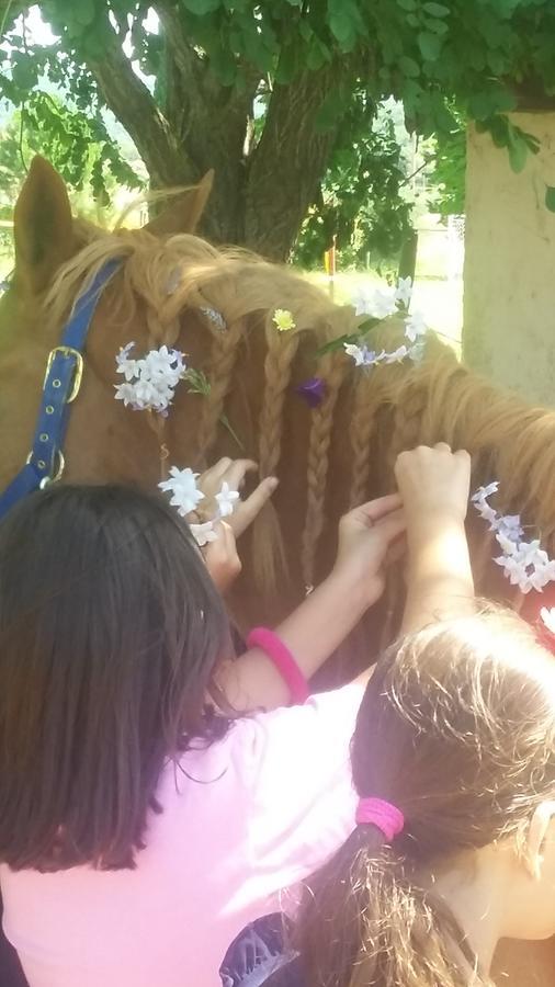 Agriturismo Lillastro Braccagni المظهر الخارجي الصورة